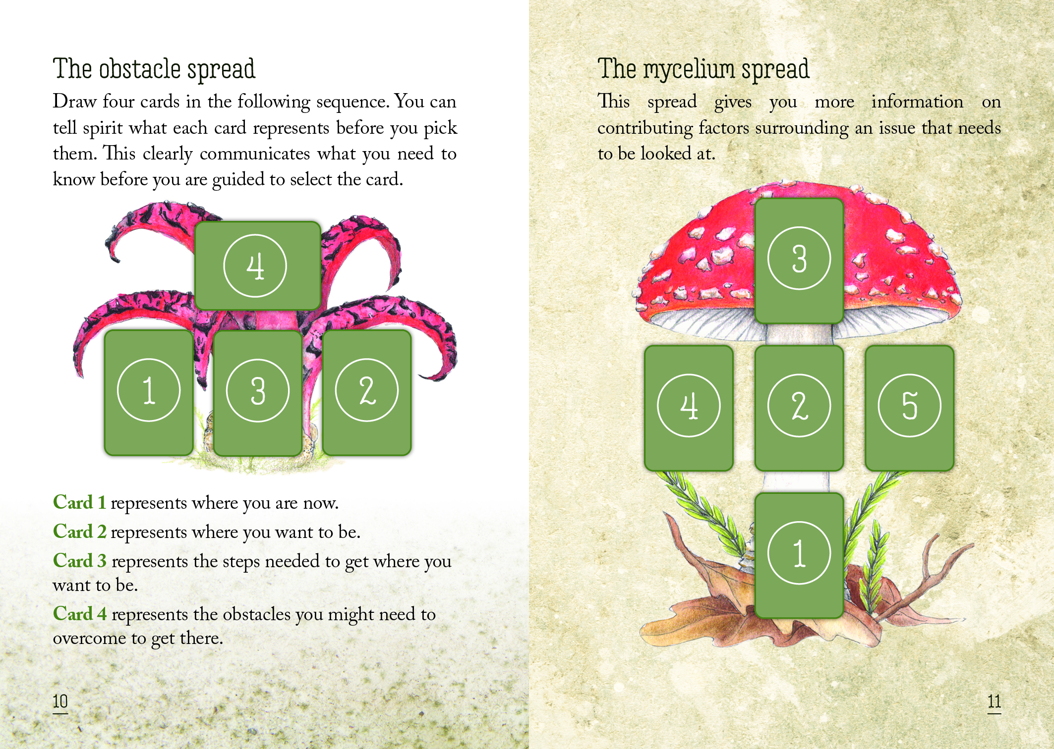 Mushroom Spirit Oracle Cards